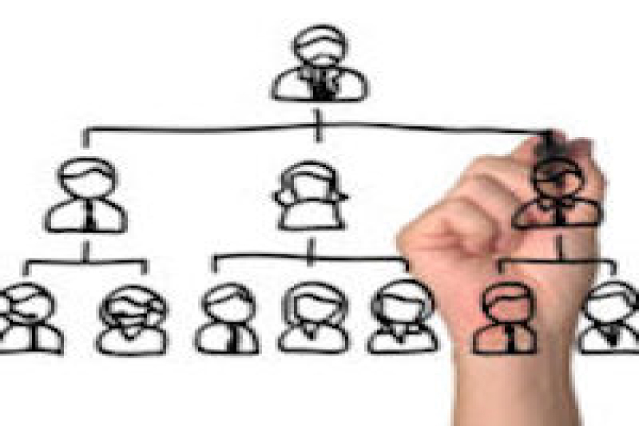 Who’s Next? A Succession Planning Primer