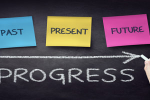 Individual Development Plans: Content and Uses