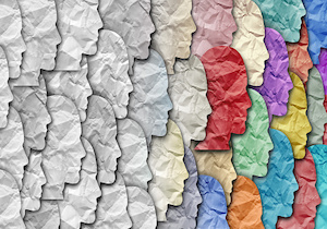 Tool: A Development Process to Shift Culture