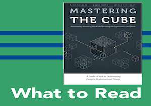 What to Read: Mastering the Cube: Overcoming Stumbling Blocks and Building an Organization that Works